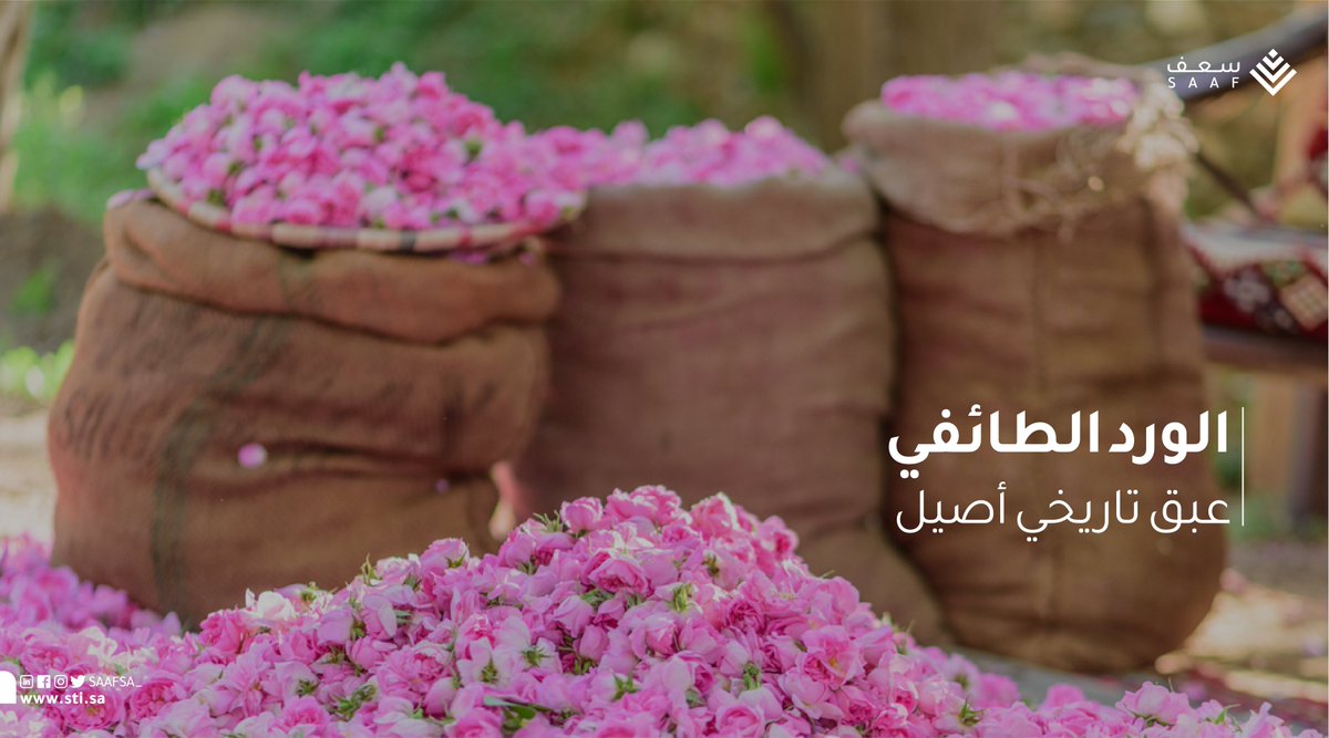 SAAFSA_'s tweet photo. #الورد_الطائفي
من قلب الطائف التي تكتسي بمساحات الورد الشاسعة، تقع صناعة عطر الورد، التي تمثل مصدر دخل للسكان وأحد أهم المهن التي توارثتها الأجيال في المنطقة. https://t.co/KP7II0pg6t