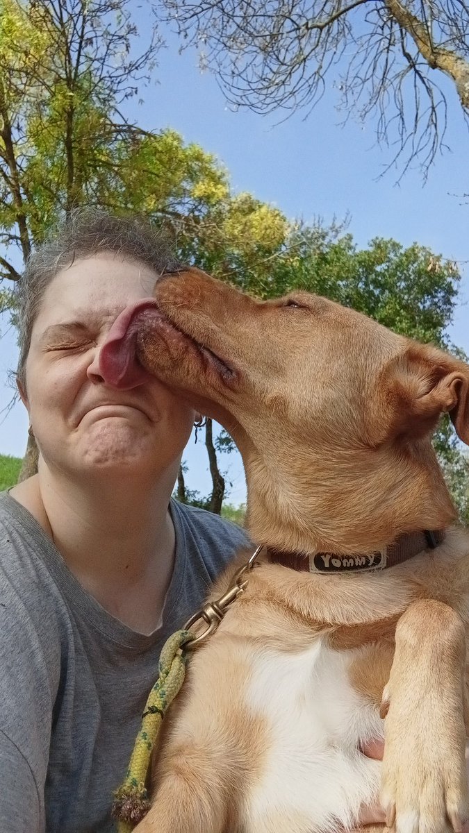 BMandess's tweet photo. Cleared my head a bit, thanks to this warm October Sunday and my incredibly fun and hyperactive fur-daughter, Iris. https://t.co/IkQkKSA9lK