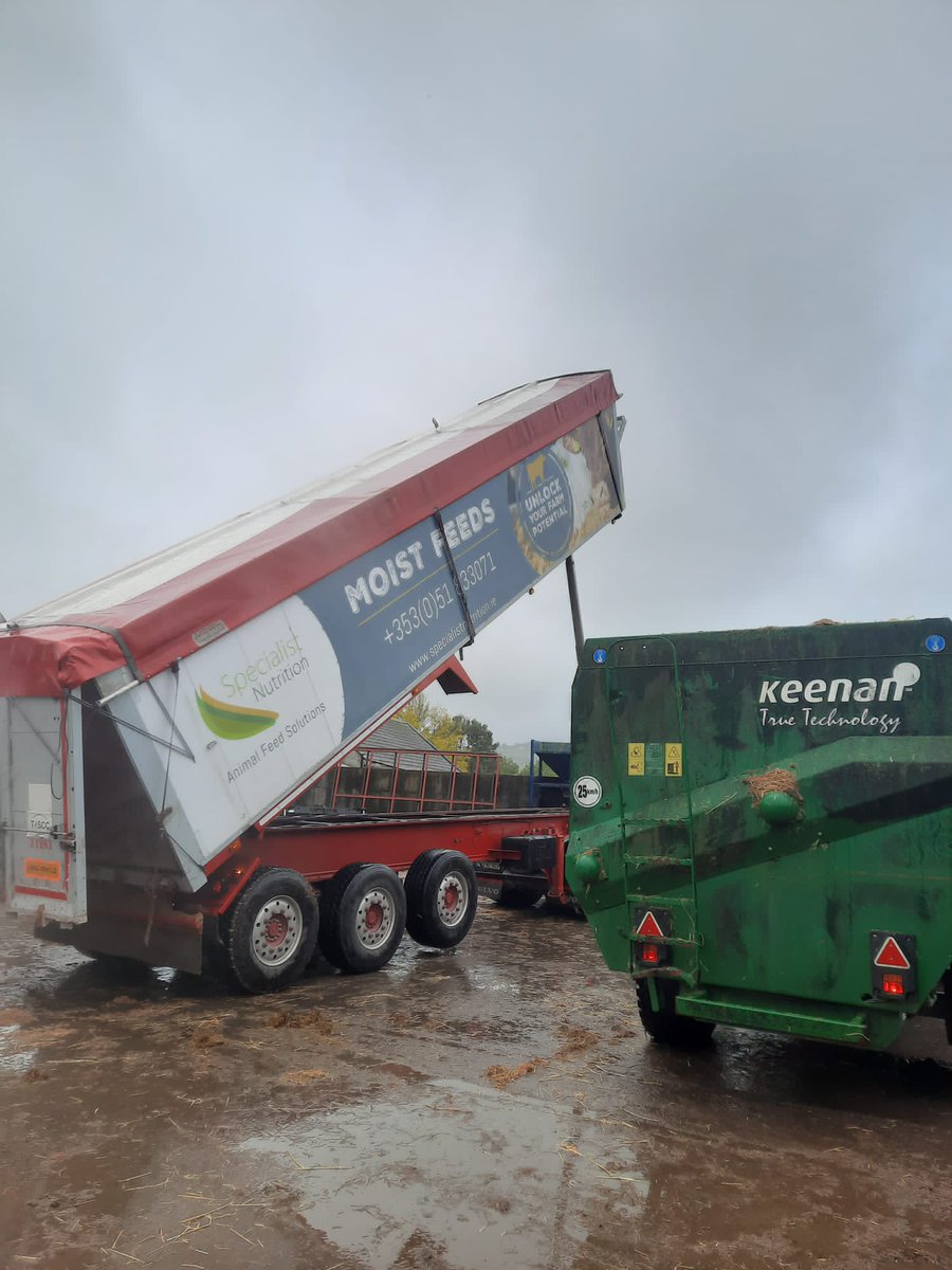 Happy cows , dinner inside today , thanks <a href="/specialistnutri/">Specialist Nutrition</a> and <a href="/KEENANsystem/">KEENAN</a>  #wintermilk