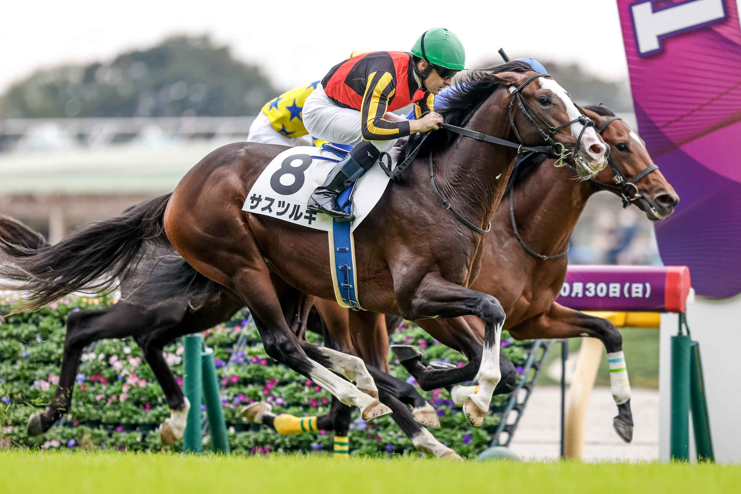 Netkeiba 土曜東京 2歳未勝利 1r メリオルヴィータ ダ1600 父ダイワメジャー 母メリオーラ 写真は3頭併せの中央 2r サノノウォーリア ダ1400 父ベストウォーリア 母アニマートホウヨウ 伯父シゲルスダチ 3r サスツルギ 芝00 父ハーツクライ 母