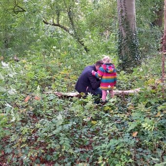 Zoek je een leuke (kinder)activiteit voor de #herfstvakantie ? Dan is onze herfstspeurtocht in Zoelen of Ommeren iets voor jou. Kijk voor info en uiterlijk 23 oktober aanmelden op ivn.nl/afdeling/west-…