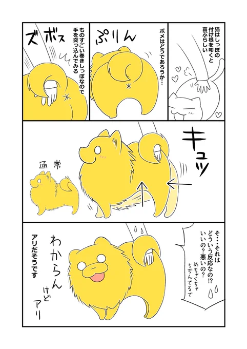 すごく縮んで妙に縦長になる。「うぇるかむですよ!うぇるかむですけど僕のおちりはどうなってしまうんですかーーッ!!!」 