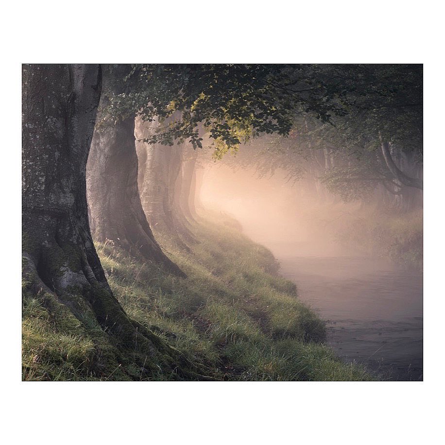 PKilleenPhoto's tweet photo. I am extremely happy to announce that I have two images featured in the @uklpoty Landscape Photographer of the Year - Collection 15 Book.

'Souls Tied' was the 'Black and White' Category Winner. 

Whilst 'Morning Glory' will feature in the 'Your View' section.

(1/3) https://t.co/4Wx0nWbhlI