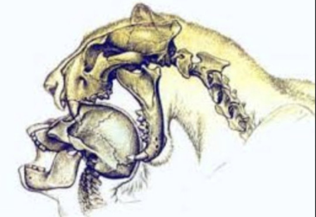 fartcontroller's tweet image. 