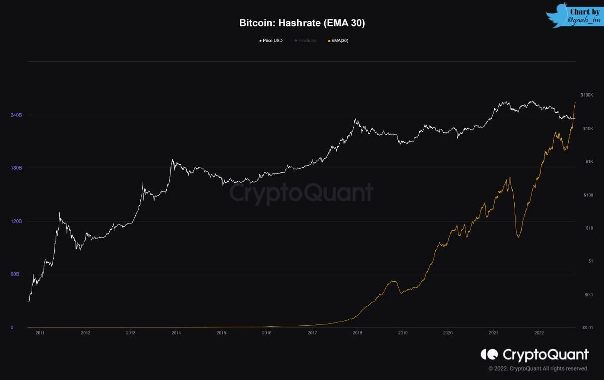 TradedogCrypto's tweet photo. 💰Bitcoin's Hashrate continues to break historical records
"Therefore being more difficult to perform a 51% attack within the Bitcoin network, as the most important part of a blockchain is its security."
@Bitcoin #bitcoinhash #crypto #tradedog @Bitcoin https://t.co/neXpiwb013