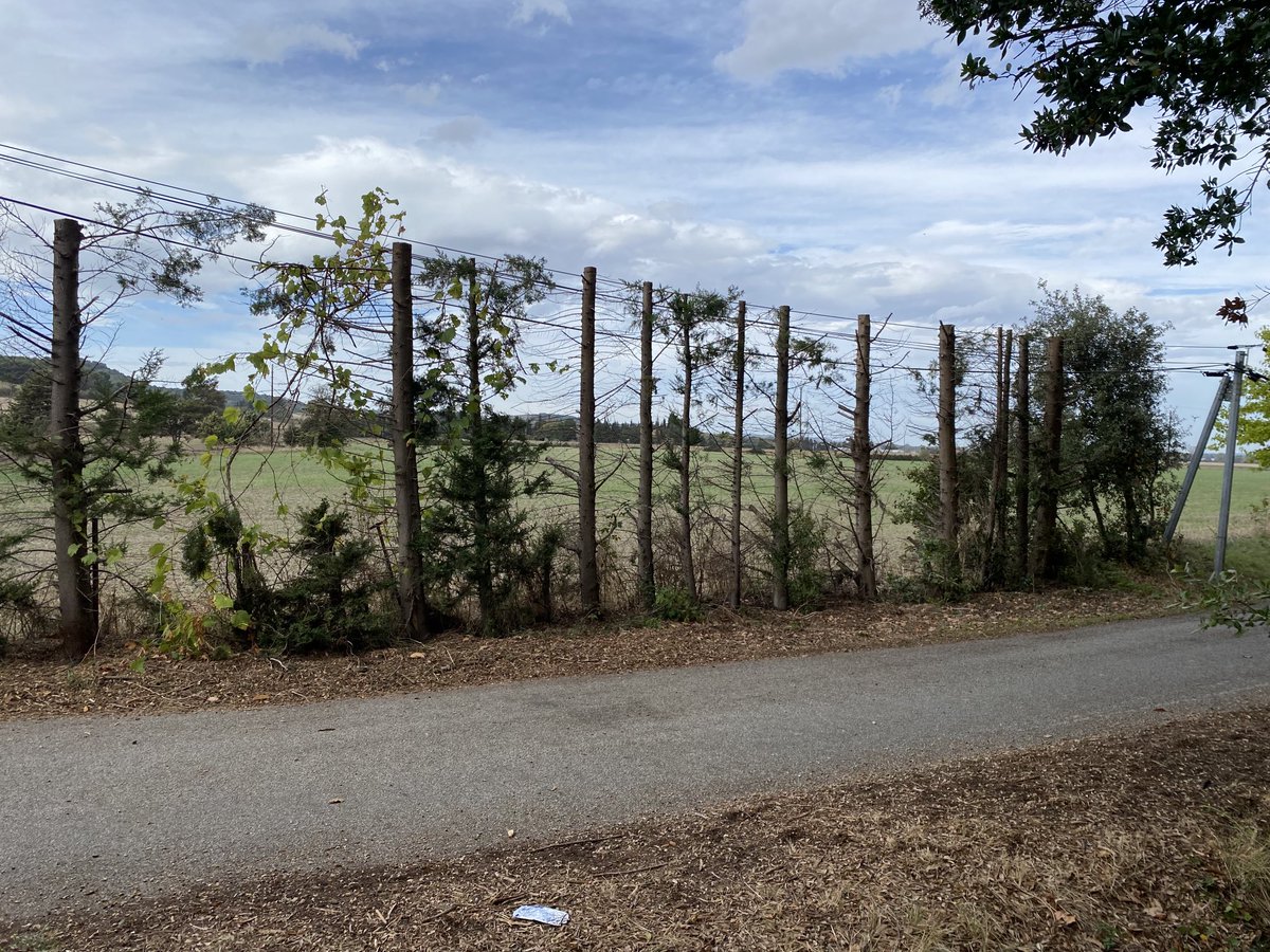 La fibre arrive :(  les arbres partent …