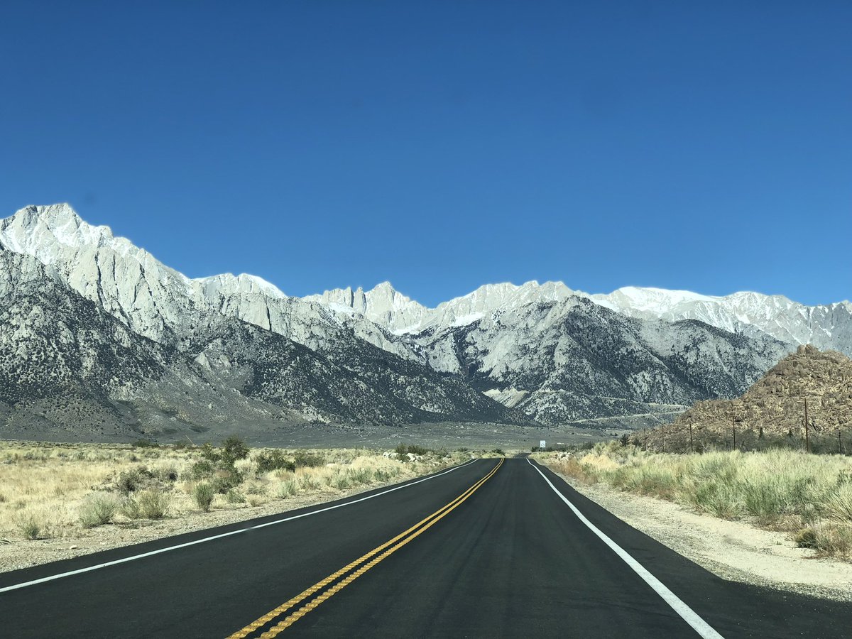 libbybohan tweet media