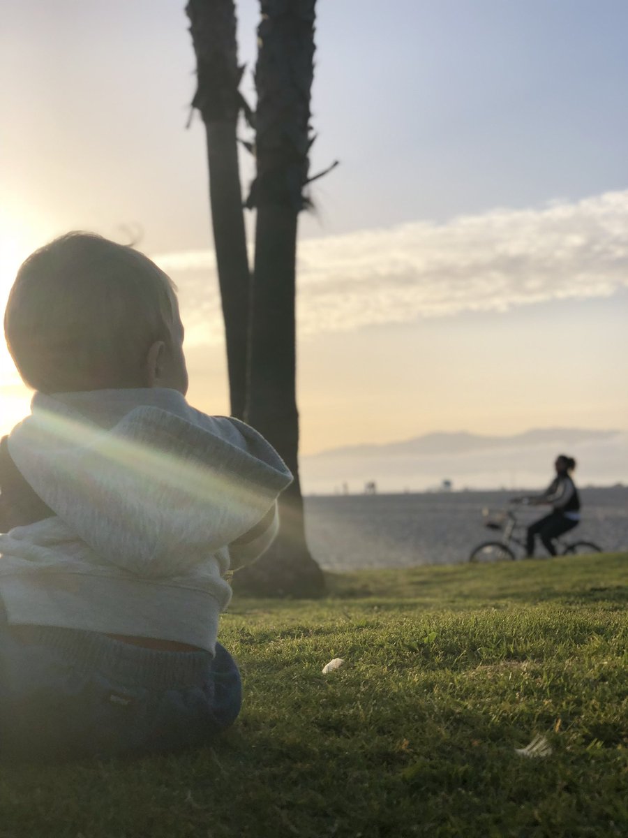 libbybohan tweet media