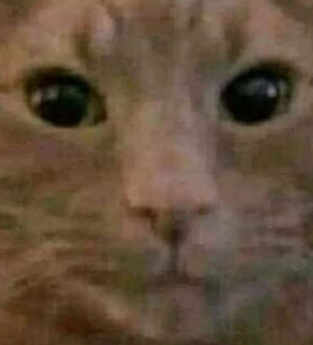ASTRAROTH_CRAG's tweet photo. @MissaSinfonia Penis https://t.co/BU9rfAdJJJ