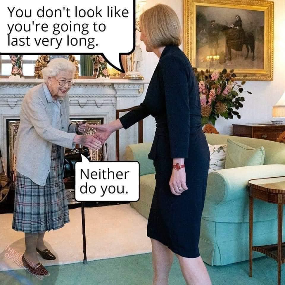 rdodd104's tweet image. Hahaha