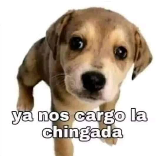 ASTRAROTH_CRAG's tweet photo. @MissaSinfonia Esperanzador https://t.co/9bFWCTA0Y5