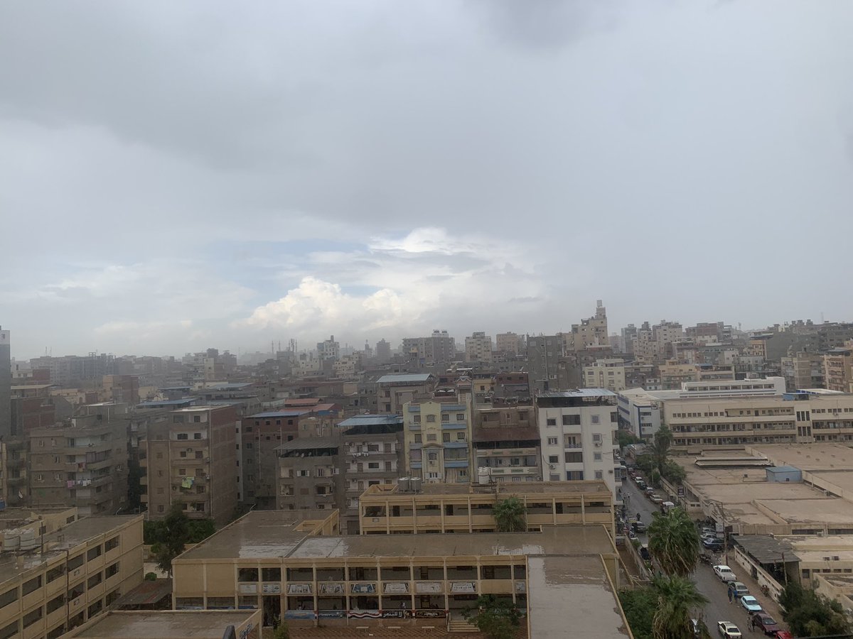 Islam🦅 tweet media