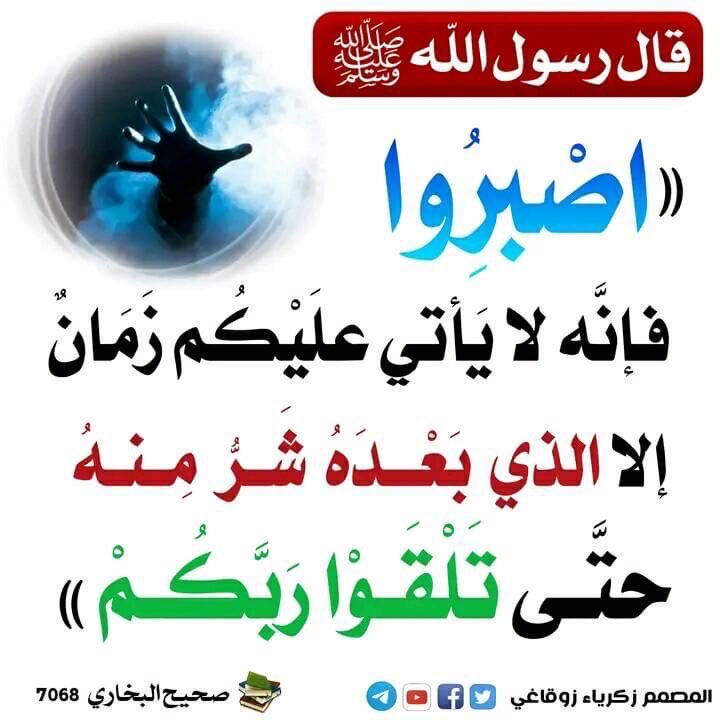 Zaid Adib Ansari tweet media