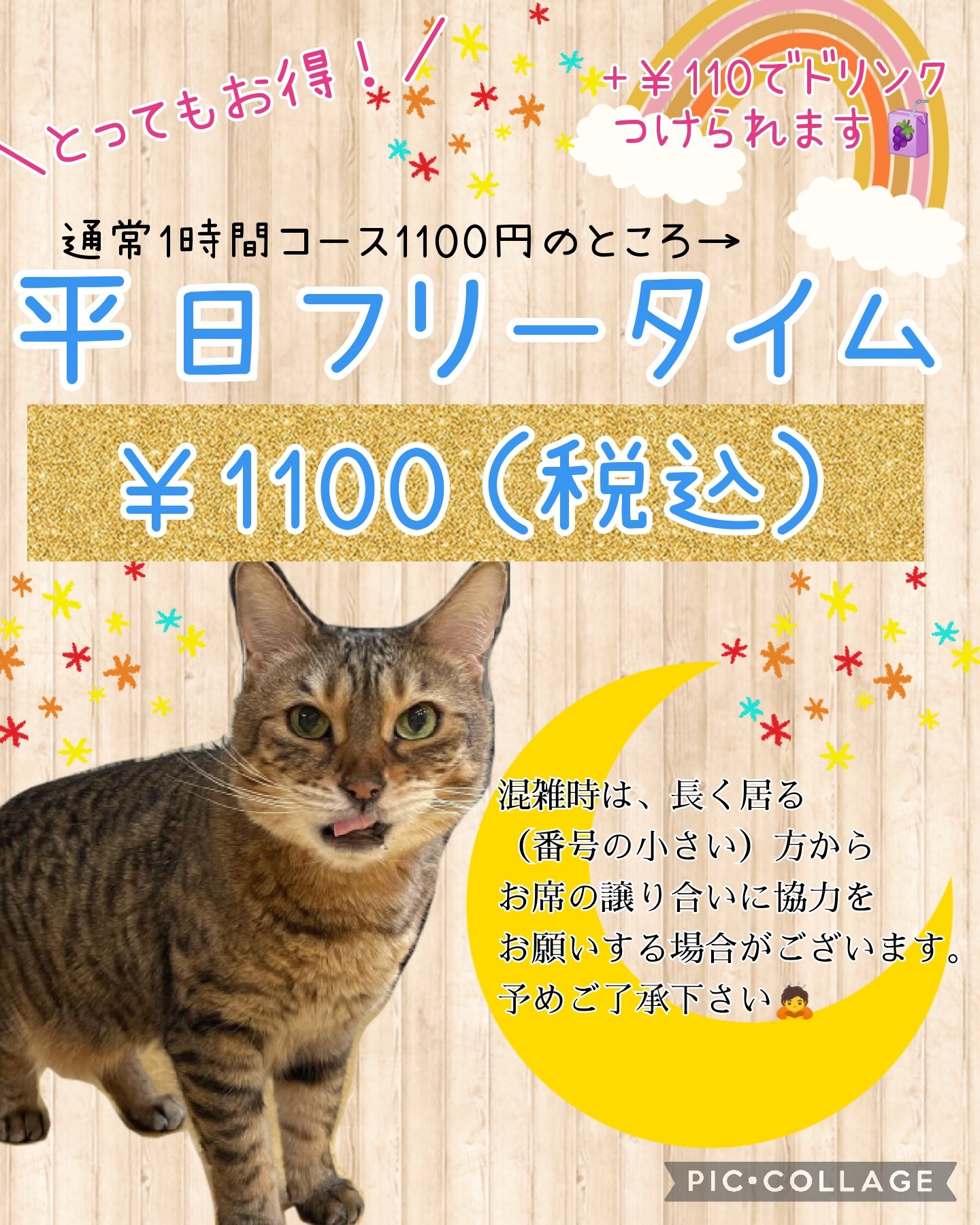 保護猫カフェ鶴橋店 ２階 元保護猫カフェマンチカン Manchituruhashi Twitter