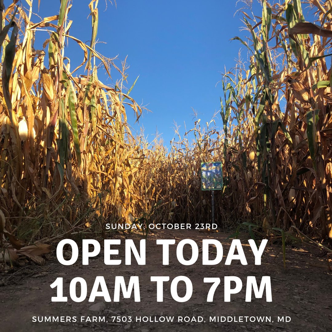 SummersFarm's tweet image. Good morning! Summers Farm will be open today, Sunday, October 23rd from 10am to 7pm!

Tickets are strongly encouraged to be purchased online and early (plus you save money by buying online!)!! summersfarm.com/pages/pricing-…