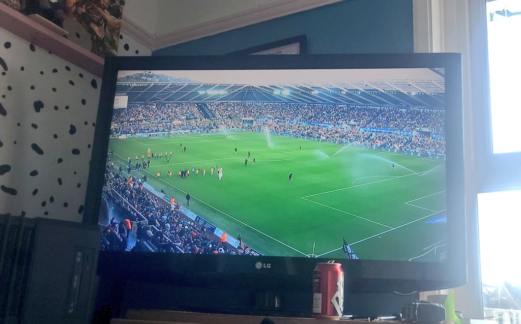The FUT Shagger tweet media