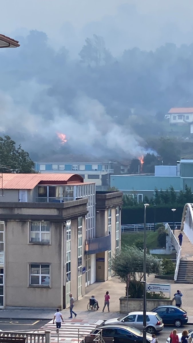 BizkaikoBasozainak tweet media