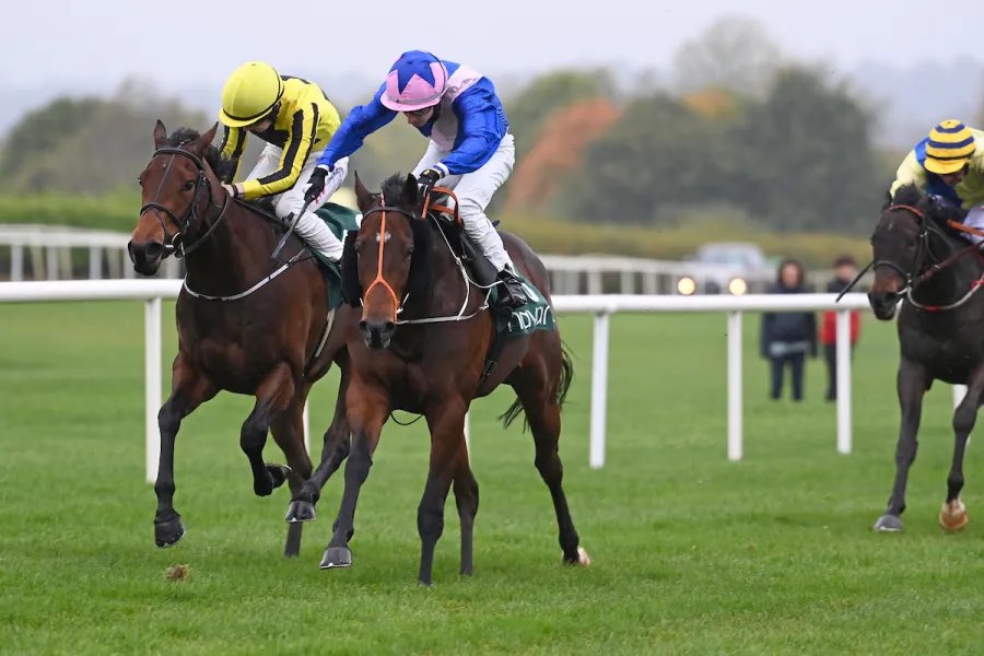 Stack_Racing's tweet image. Decorated My Life Scores At Navan… bit.ly/3CY0Qpu #StackRacing