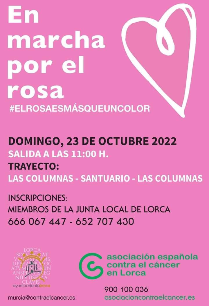 CasaPasoBlanco's tweet photo. La @CasaPasoBlanco participa en la marcha contra el cáncer celebrada esta mañana. “En marcha por el rosa” #elrosaesmásqueuncolor #casadelpaso #unaformadevida #somosblancos https://t.co/gnscOyFG4U