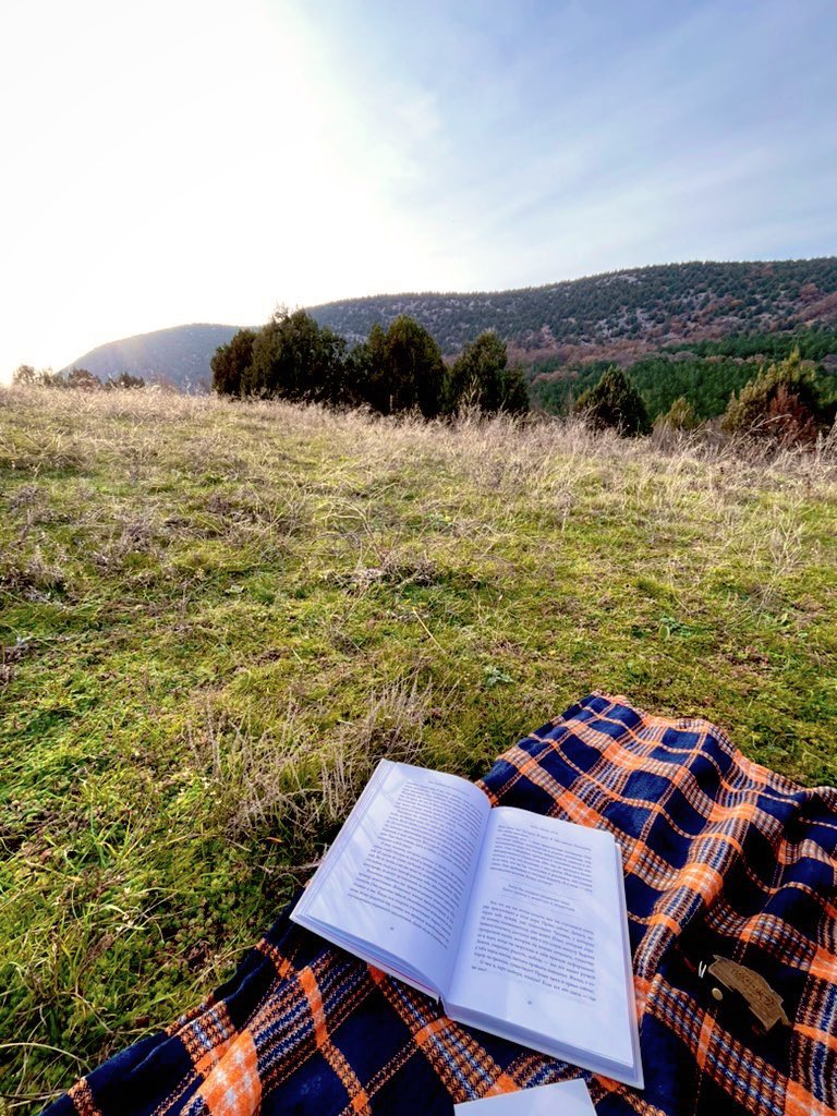 Aliferova_T tweet media