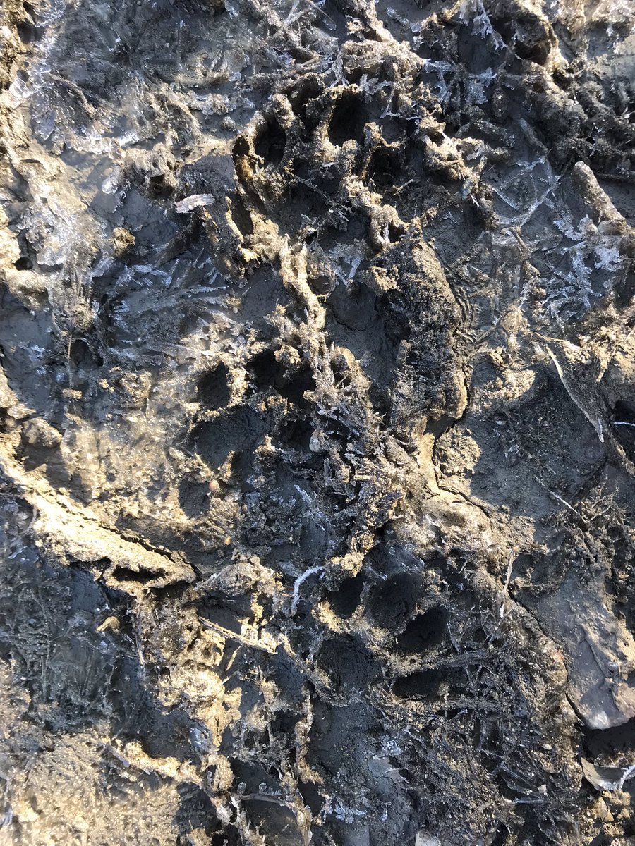 Евгений tweet media