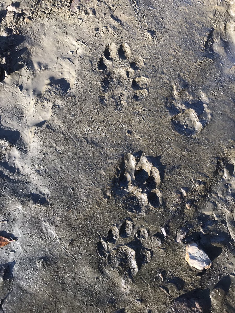 Евгений tweet media