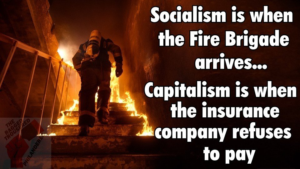 <a href="/ElaineDyson1/">Elaine Dyson #FreePalestine #YourParty 💙</a>