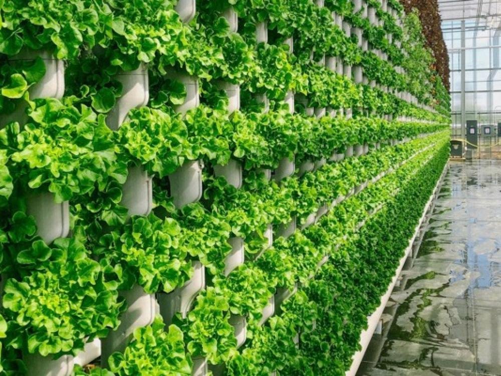 Are you interested in this types of farming?