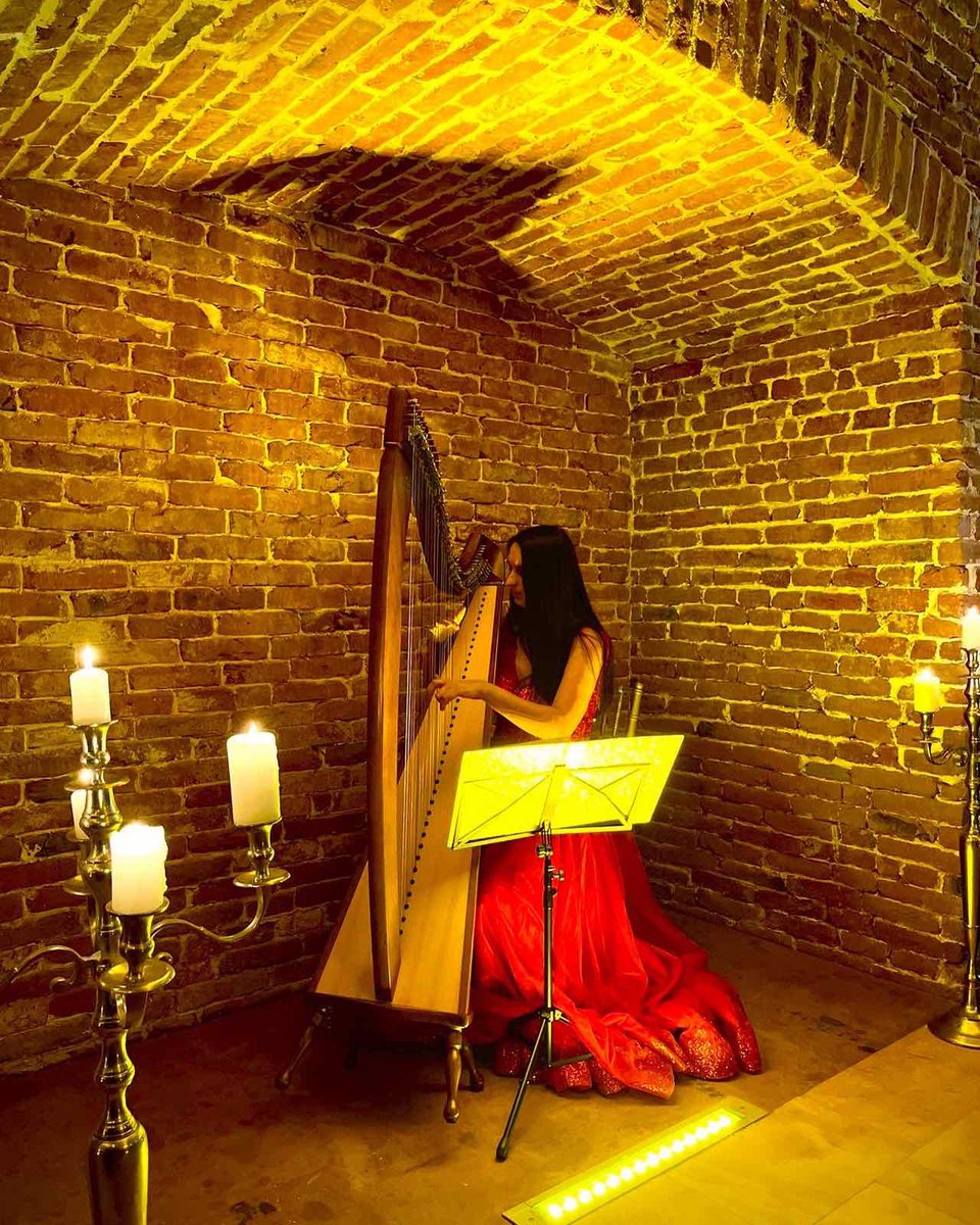 Aleksandar Aleksiev tweet media