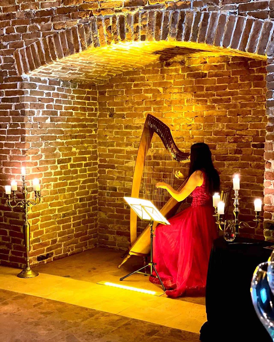 Aleksandar Aleksiev tweet media