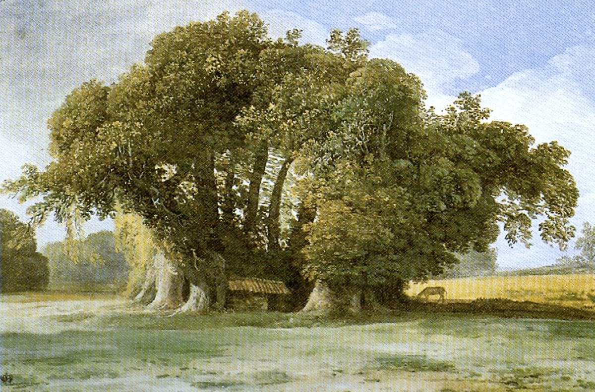 Upper picture: ”The Chestnut Of A Hundred Horses” -Monument Messenger of Peace. Oldest and the largest chestnut tree in the world. Sicily, Italy. Paint by Jean-Pierre Houël, 1777.