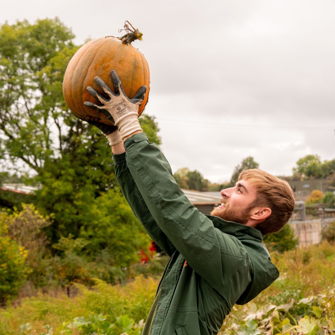 Noahs_Ark_Zoo's tweet photo. No matter your age, there's no better feeling than picking that perfect pumpkin! ๐
Find your perfect pumpkin today ๐
https://t.co/dhnFNhsO71
#noahsarkzoofarm #pumpkin #pumpkins #autumn #october #zoo #bristol #autumnvibes #familydayout #pumpkindesign #pumpkinpatch https://t.co/co9do3EWyq