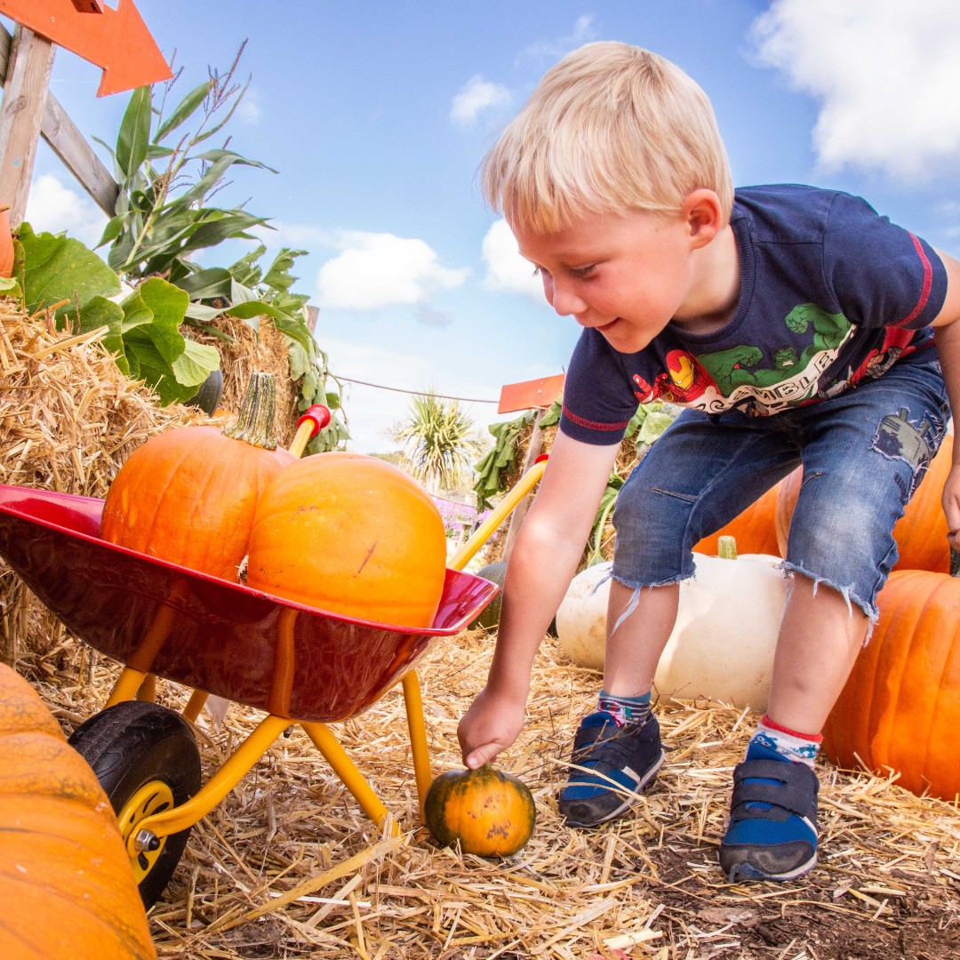 Noahs_Ark_Zoo's tweet photo. No matter your age, there's no better feeling than picking that perfect pumpkin! ๐
Find your perfect pumpkin today ๐
https://t.co/dhnFNhsO71
#noahsarkzoofarm #pumpkin #pumpkins #autumn #october #zoo #bristol #autumnvibes #familydayout #pumpkindesign #pumpkinpatch https://t.co/co9do3EWyq