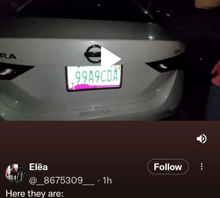 Look up license plate number epicstorm