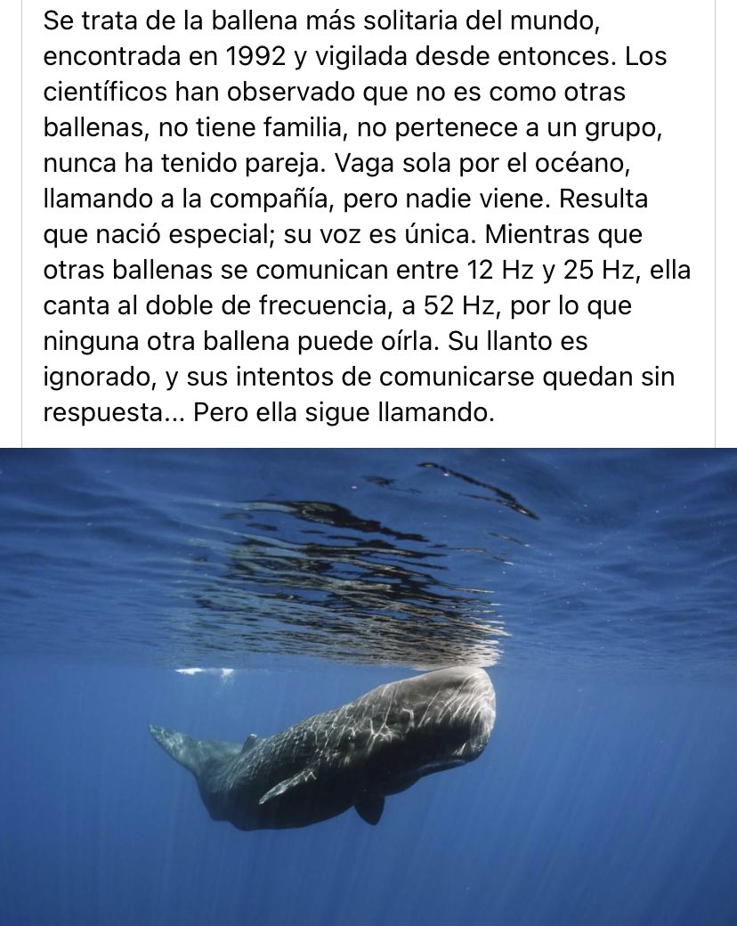 Alberto López tweet media