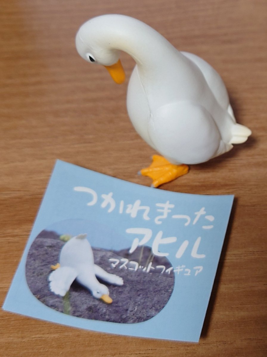🪦ゾンビ tweet media