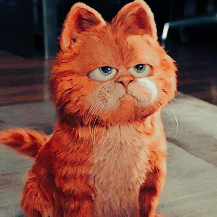 กาฟิวตุ้ยนุ้ย