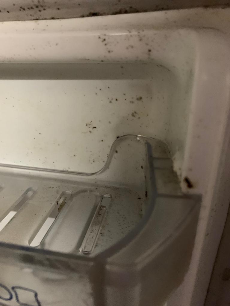 77Ashish770's tweet photo. @whirlpool_india This is how we got the fridge from the service center. Full of fungus. Got it back on 12th Oct. Not even 10 days in, the refrigerator is again not cooling.
5000 ₹ for 10 days of cooling?  Never getting Whirlpool products. Worst Unprofessional service center staff who are abusive https://t.co/hdfY68qMMd