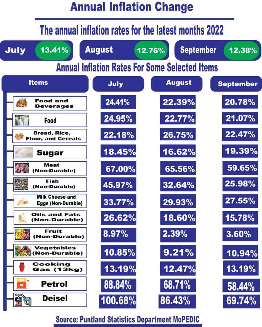 Puntland Statistics Department tweet media