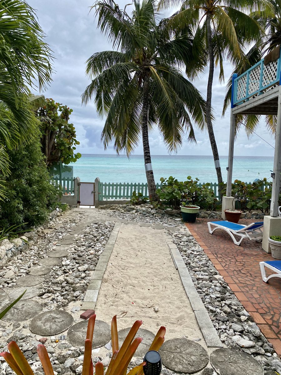 Barbara Trotman tweet media