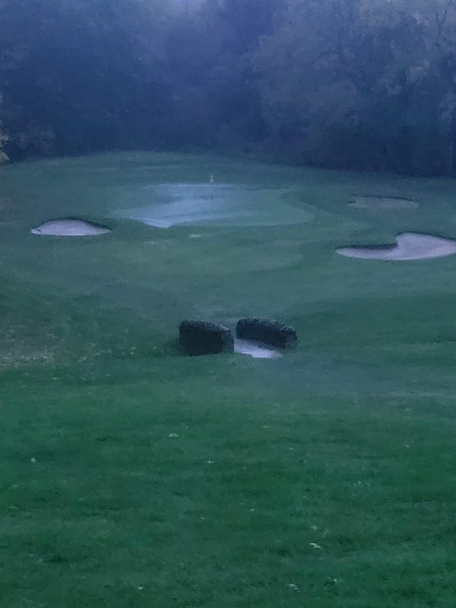 WGCC_Greens (@greenswgcc) on Twitter photo 