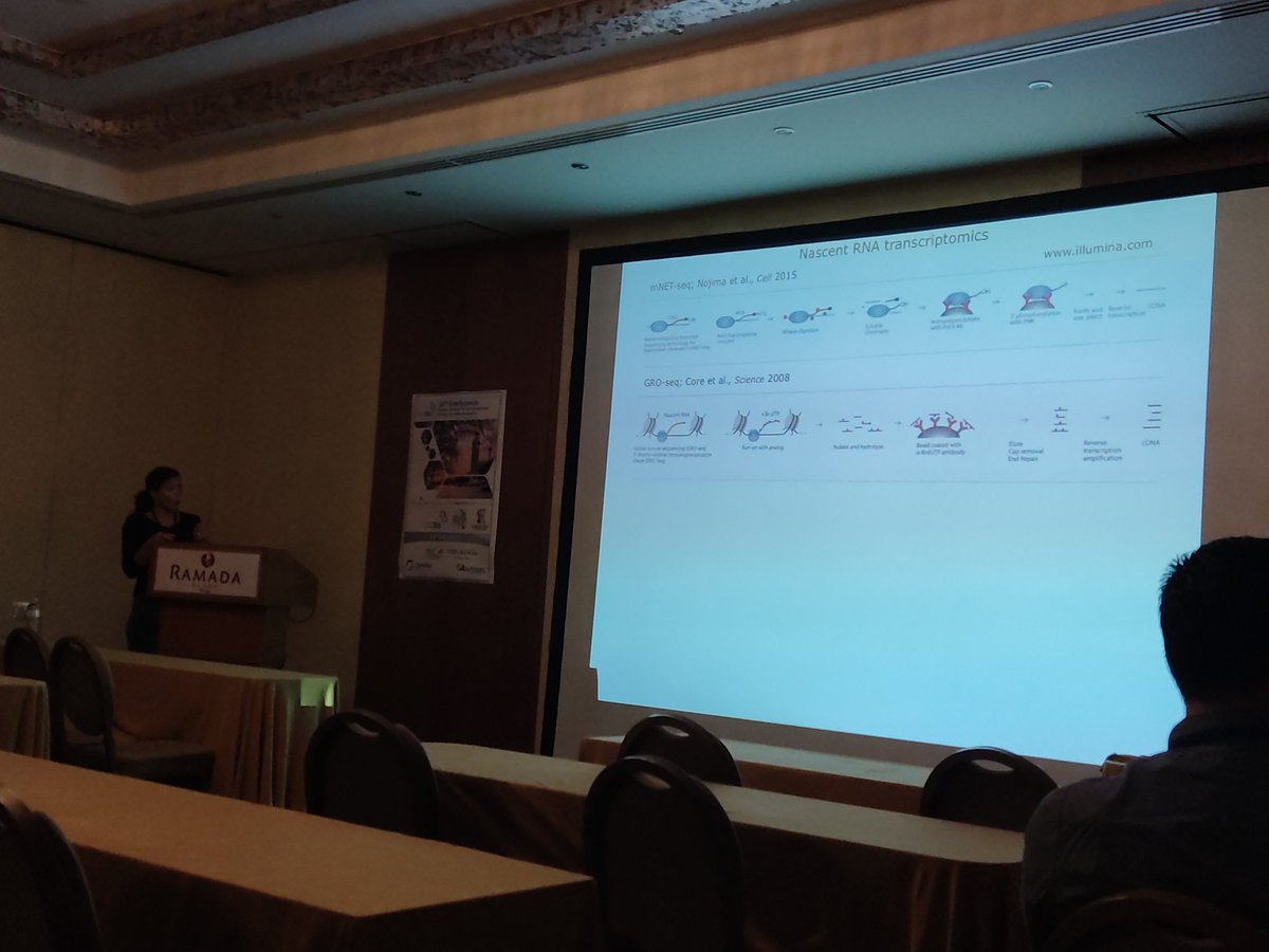 hscbb_gr's tweet photo. Kicking off a wonderful Sunday morning session at #HSCBB22 with @evgenia_ntini of IMBB @FORTH_ITE on transcriptional dynamics. https://t.co/H2sPMapjRT