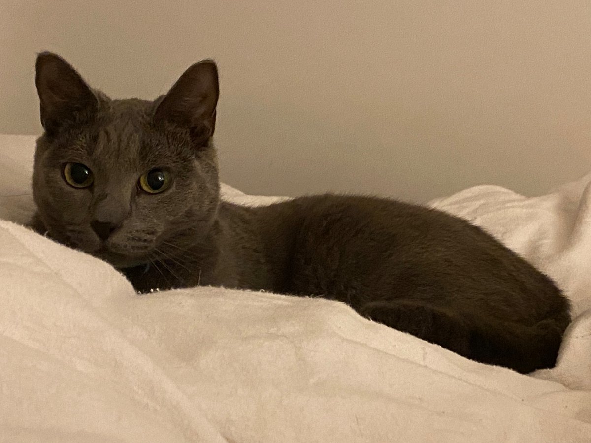 Sunday morning wake up…