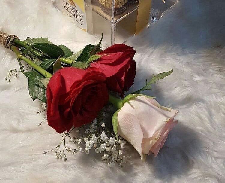 الحال ما نشكيه عند المخاليق
وهمومنا تكثــر وهي داخليه
.
واليا خسرنا نطلب الله توافيق
ما اندور التعويض ولاّ العطيه