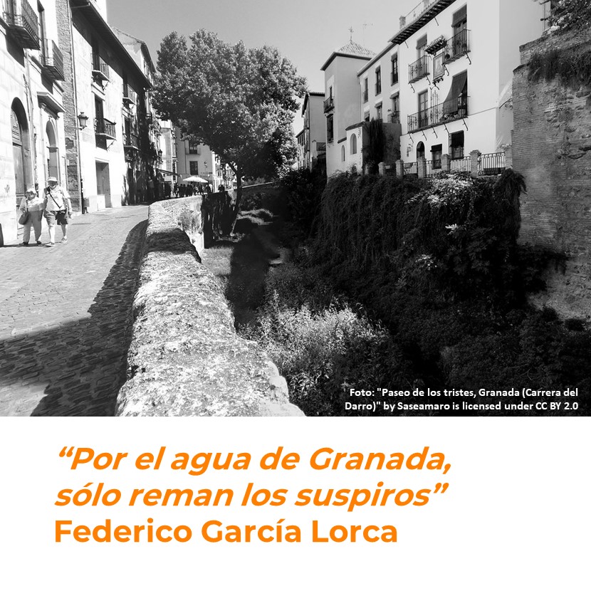 GranadaCTours's tweet photo. Granada es una ciudad que siempre emociona https://t.co/yVqYIbsTEs