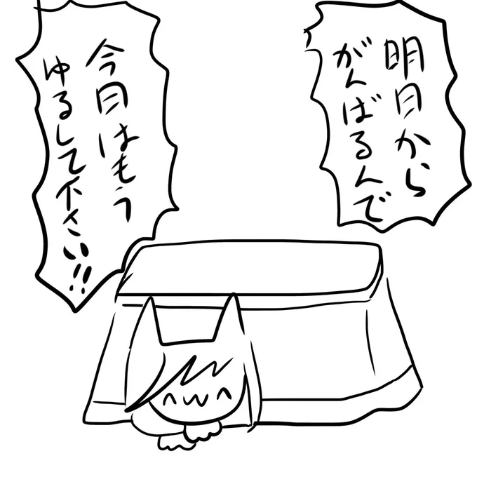 こたつ設置完了! 
