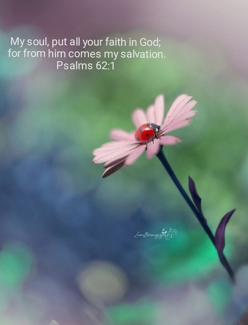 PUT ALL YOUR FAITH IN GOD ALONE My soul, put all your faith in God; for from him comes my salvation. Psalms 62:1
