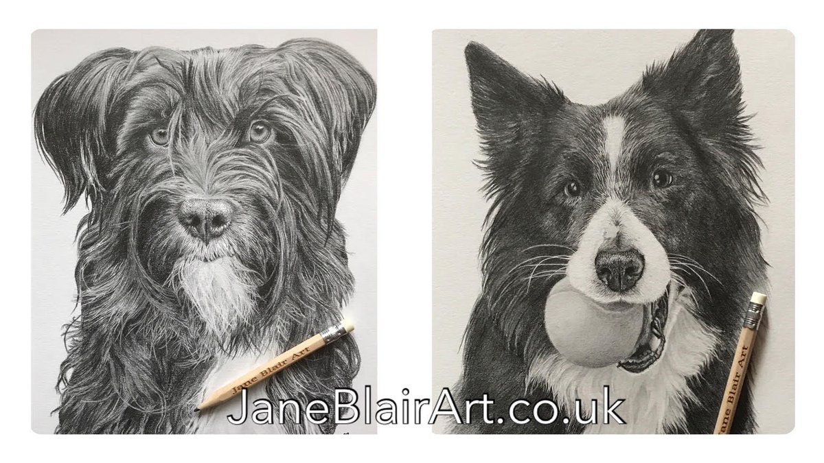 I have a couple of slots left for standard sized portraits with Christmas delivery ✏️✏️✏️

Please get in touch if you're thinking of commissioning a pet or human portrait! 💕🐾

#ukgifthour #ukgiftam #petportraits #commissionaportrait #commissionsopen #craftbizparty #dogportraits