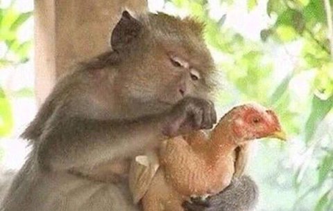 EddoLalika's tweet photo. Unasema alikuwa anakwambia kuwa una komwe.😊 https://t.co/bDzg9gG8lE