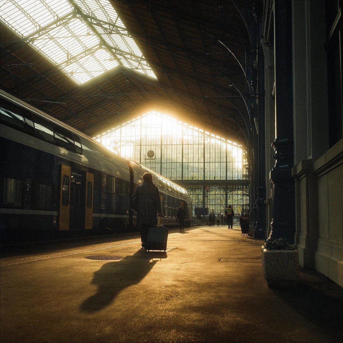 Street Evolution tweet media